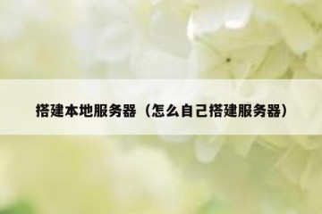 搭建本地服务器（怎么自己搭建服务器）