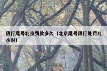 限行尾号北京罚款多久（北京尾号限行处罚几小时）