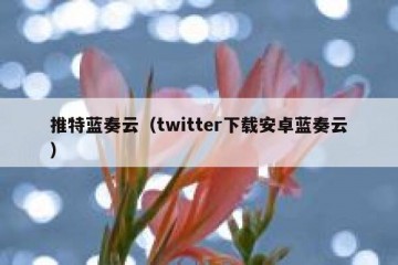 推特蓝奏云（twitter下载安卓蓝奏云）