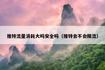 推特流量消耗大吗安全吗（推特会不会限流）