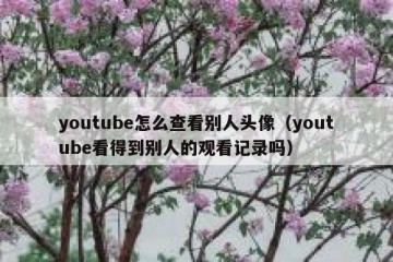 youtube怎么查看别人头像（youtube看得到别人的观看记录吗）
