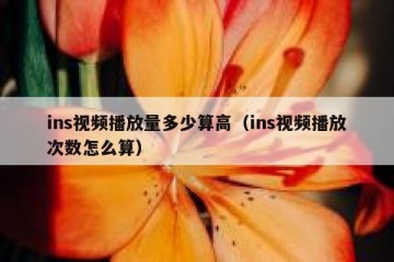 ins视频播放量多少算高（ins视频播放次数怎么算）