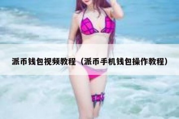 派币钱包视频教程（派币手机钱包操作教程）