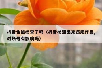 抖音也被检查了吗（抖音检测出来违规作品,对账号有影响吗）