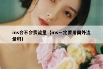 ins会不会费流量（ins一定要用国外流量吗）