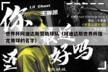 世界杯阿迪达斯赞助球队（阿迪达斯世界杯指定用球的名字）