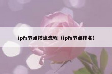 ipfs节点搭建流程（ipfs节点排名）