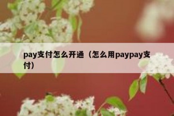 pay支付怎么开通（怎么用paypay支付）
