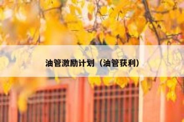 油管激励计划（油管获利）