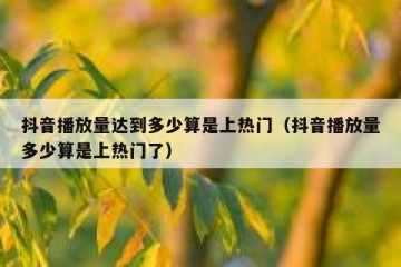 抖音播放量达到多少算是上热门（抖音播放量多少算是上热门了）