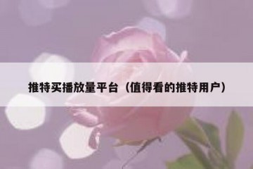 推特买播放量平台（值得看的推特用户）