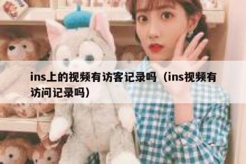 ins上的视频有访客记录吗（ins视频有访问记录吗）