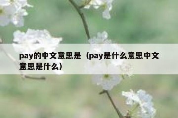 pay的中文意思是（pay是什么意思中文意思是什么）