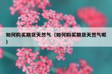 如何购买期货天然气（如何购买期货天然气呢）