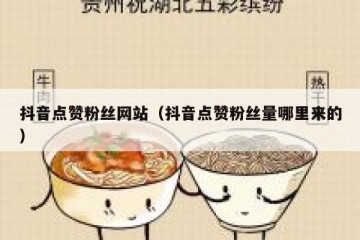抖音点赞粉丝网站（抖音点赞粉丝量哪里来的）