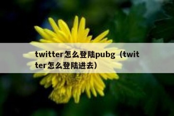 twitter怎么登陆pubg（twitter怎么登陆进去）