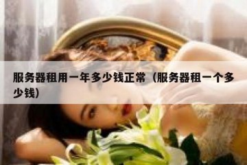 服务器租用一年多少钱正常（服务器租一个多少钱）