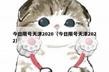 今日限号天津2020（今日限号天津2022）