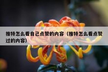 推特怎么看自己点赞的内容（推特怎么看点赞过的内容）