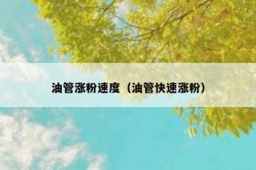 油管涨粉速度（油管快速涨粉）
