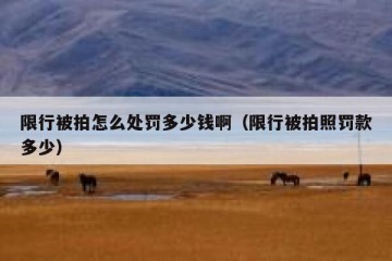 限行被拍怎么处罚多少钱啊（限行被拍照罚款多少）