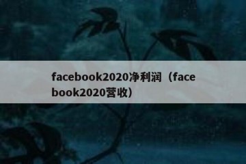 facebook2020净利润（facebook2020营收）