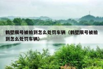 鹤壁限号被拍到怎么处罚车辆（鹤壁限号被拍到怎么处罚车辆）