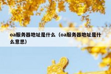 oa服务器地址是什么（oa服务器地址是什么意思）