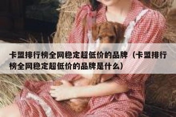 卡盟排行榜全网稳定超低价的品牌（卡盟排行榜全网稳定超低价的品牌是什么）