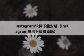 instagram软件下载安装（instagram应用下载安卓版）