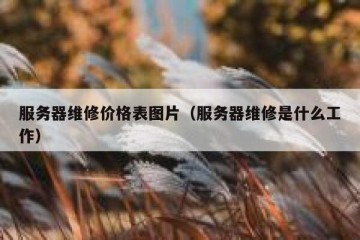 服务器维修价格表图片（服务器维修是什么工作）