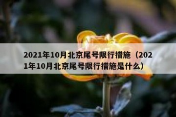 2021年10月北京尾号限行措施（2021年10月北京尾号限行措施是什么）
