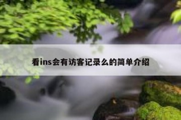 看ins会有访客记录么的简单介绍