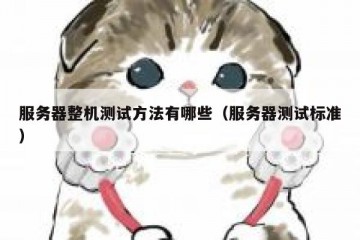 服务器整机测试方法有哪些（服务器测试标准）