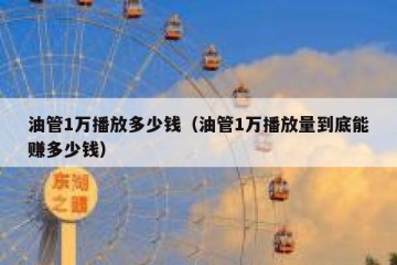 油管1万播放多少钱（油管1万播放量到底能赚多少钱）