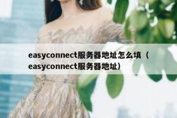 easyconnect服务器地址怎么填（easyconnect服务器地址）