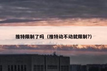 推特限制了吗（推特动不动就限制?）