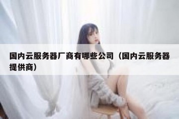 国内云服务器厂商有哪些公司（国内云服务器提供商）