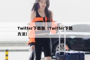 Twitter下载器（Twitter下载方法）