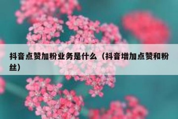 抖音点赞加粉业务是什么（抖音增加点赞和粉丝）