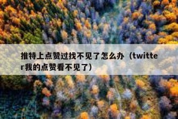推特上点赞过找不见了怎么办（twitter我的点赞看不见了）