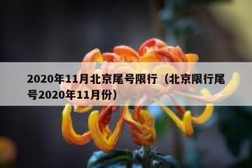 2020年11月北京尾号限行（北京限行尾号2020年11月份）