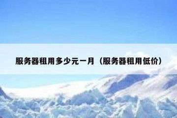 服务器租用多少元一月（服务器租用低价）