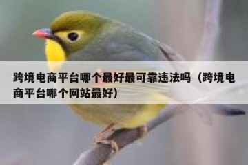 跨境电商平台哪个最好最可靠违法吗（跨境电商平台哪个网站最好）