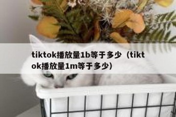 tiktok播放量1b等于多少（tiktok播放量1m等于多少）
