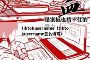 tiktokusername（tiktokusername怎么填写）
