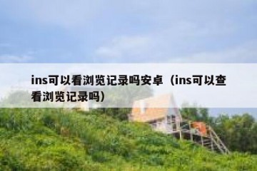 ins可以看浏览记录吗安卓（ins可以查看浏览记录吗）