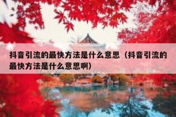 抖音引流的最快方法是什么意思（抖音引流的最快方法是什么意思啊）