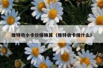 推特收小卡价格换算（推特收卡搜什么）