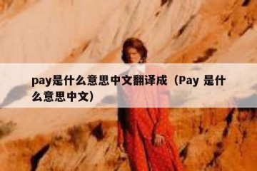pay是什么意思中文翻译成（Pay 是什么意思中文）